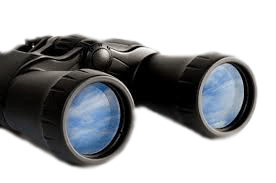 Our Vision